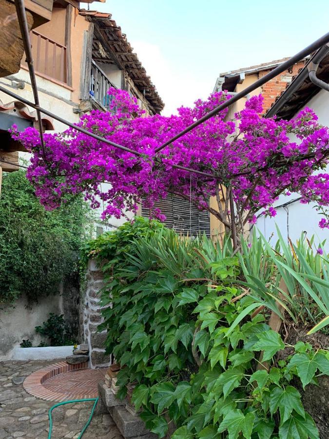 Lanzaroco, Tu Casa En La Vera Valverde de la Vera Экстерьер фото